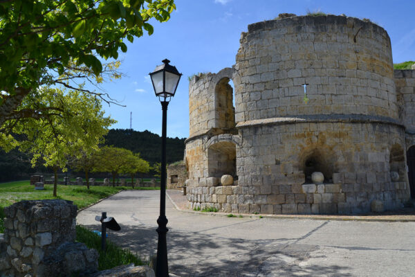Castillo de la Mota