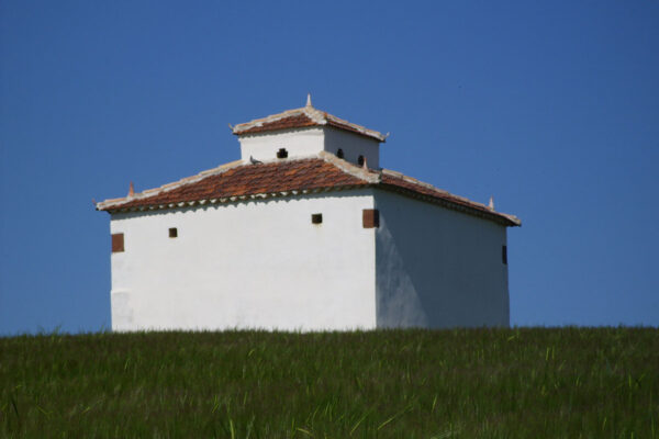Palomar