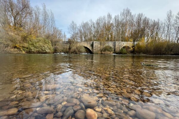 Puente sobre Río Pisuerga